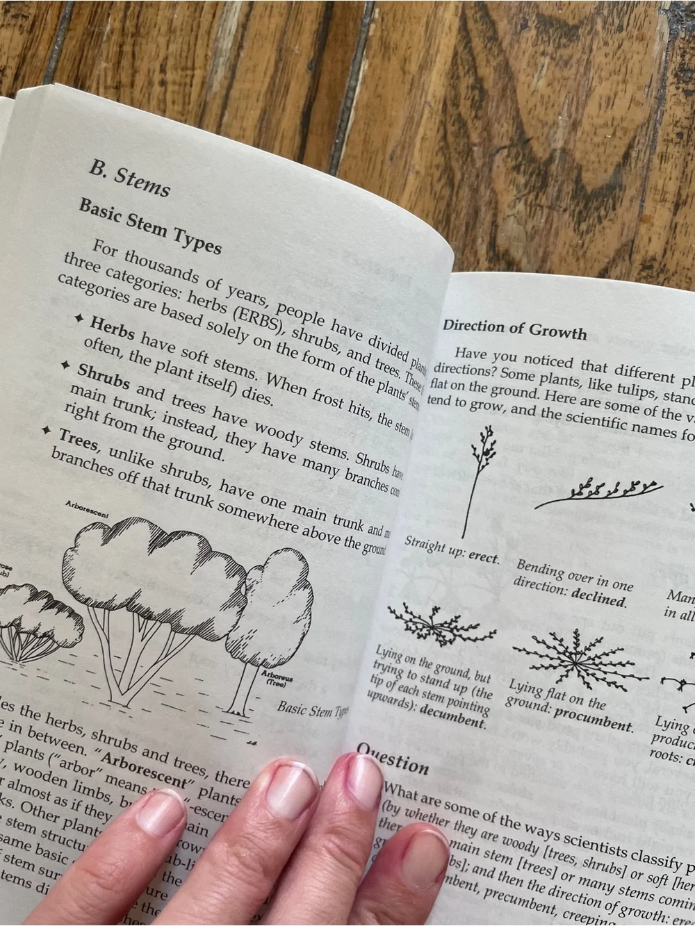 Sonlight Curriculum Introduction to Biology by John Holzmann